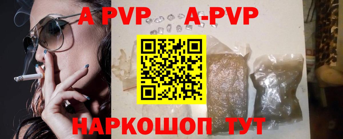 Alfa_PVP СК КРИС Коряжма