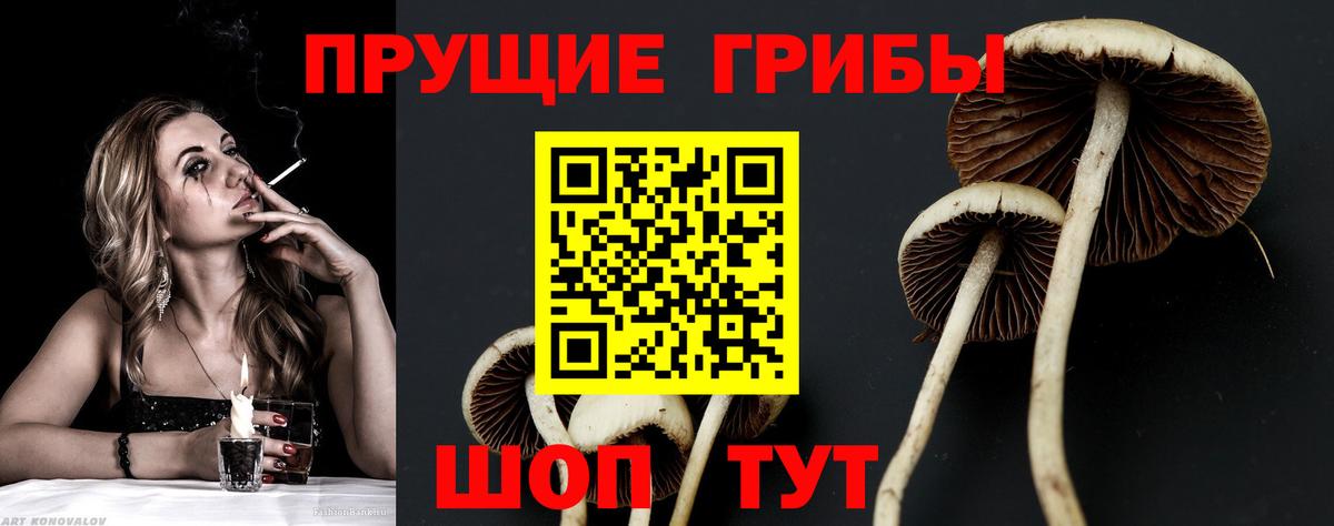 Галлюциногенные грибы GOLDEN TEACHER  Вход с VPN  Коряжма  Псилоцибиновые грибы Cubensis 
